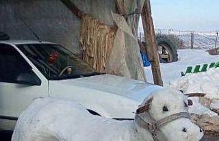 Torununa kardan inek yaptı