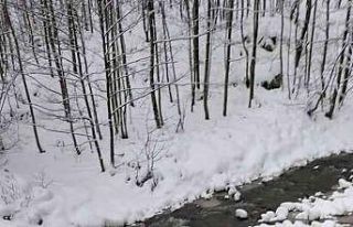 Trabzon’da buzlanan yolda pikap dereye uçtu: 1...