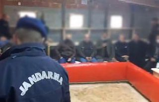 Trabzon’da horoz dövüşü operasyonu