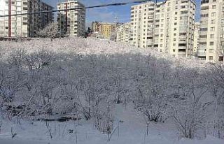 Trabzon’da kar yüksek kesimlerde etkili oldu