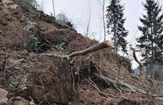 Trabzon’un Araklı ilçesinde heyelan