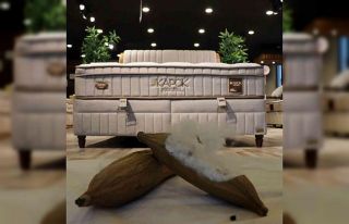 Tropik yağmur ormanlarından gelen doğallık Bambi...