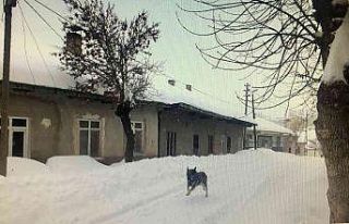 Tufanbeyli Sibirya gibi, işçi servisi tipide yolda...