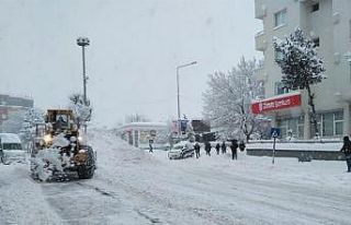 Tunceli’de 216 köye ulaşım sağlanamıyor