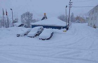 Tunceli’de 290 köy yolu ulaşıma kapandı