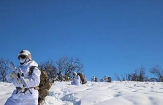 Tunceli’de 5 sığınak imha edildi
