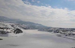 Tunceli’de baraj gölü dondu