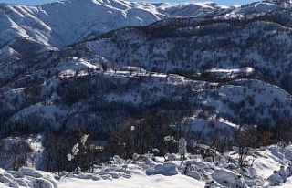 Tunceli’de Eren Kış-6 operasyonu zorlu kış şartları...