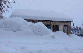 Tunceli’de ev ve arabalar kara gömüldü