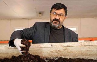 Türk bilim adamları buldu, kadınlar solucanla güzelleşecek