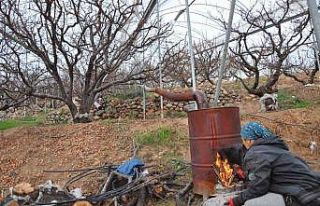 Türkiye’nin en pahalı don nöbeti