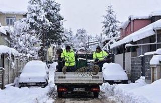 Tuzla Belediyesi kar temizleme çalışmalarını...