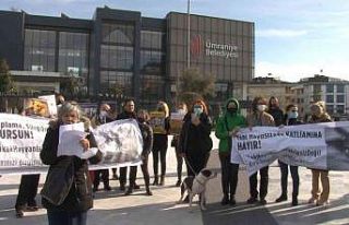Ümraniye Belediyesi önünde hayvan hakları eylemi