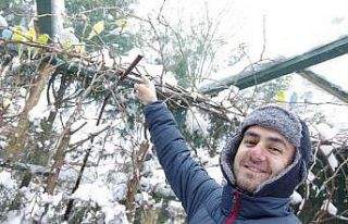 Üniversite öğrencisi evin bahçesini kafese çevirdi