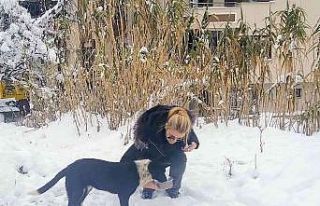 Üretime ara verdiler, ama mamaya devam
