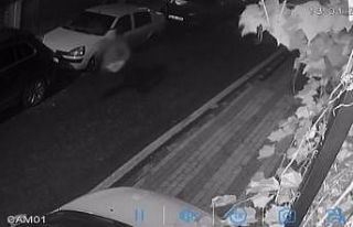 Üsküdar’da silahlı dehşet: Otizmli gencin köpeğini...