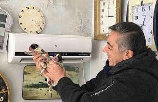 Üşümesin diye klimada ısıtıp, torunları gibi...