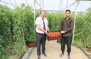 Uzman Eller Projesi başladı