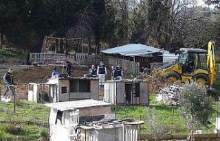 Vahşice katledilen kadının kardeşi konuştu: “Nasıl...