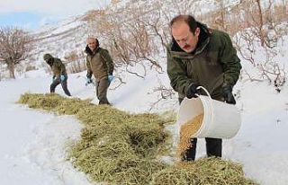 Vali Çırav Dağı’nda yaban hayvanları için...
