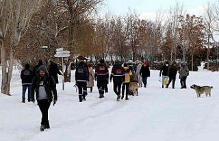 Van Büyükşehir Belediyesi sokak köpeklerini ’mikroçip’...
