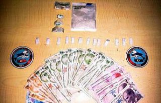 Van’da 15 şüpheli tutuklandı