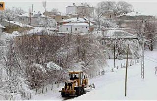 Van’da 94 yerleşim yerinin yolu ulaşıma kapandı