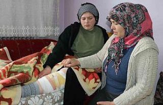 Van’da başıboş köpek dehşeti