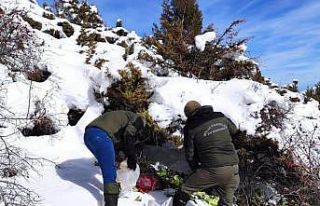 Van’da fırtınada yaban hayvanları unutulmadı