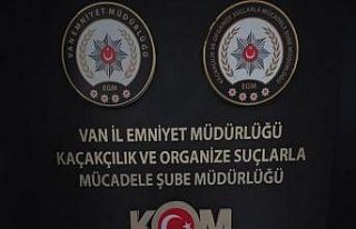 Van’da gümrük kaçakçılığı
