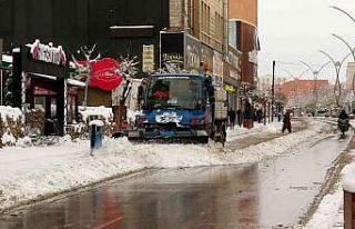 Van’da karla mücadele çalışması