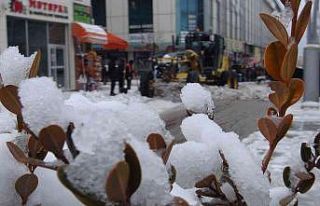 Van’da karla mücadele çalışması devam ediyor