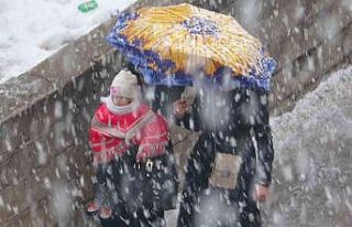 Van’da lapa lapa kar yağışı