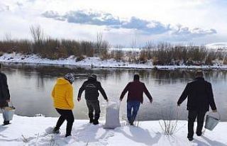 Van’da yaban hayvanları için doğaya yem bırakıldı