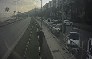 Vatman tramvayı durdurdu, raylardaki davetsiz misafire...