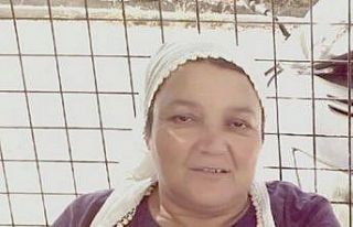 Vincin çarptığı kadın hayatını kaybetti