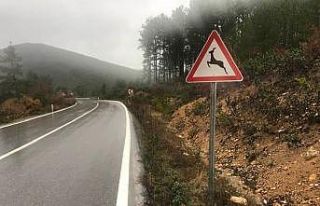 Yaban hayatı geliştirme sahasına ’Karaca çıkabilir’...