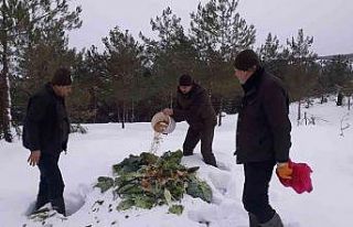 Yaban hayvanları için doğaya 350 kilogram yem bırakıldı