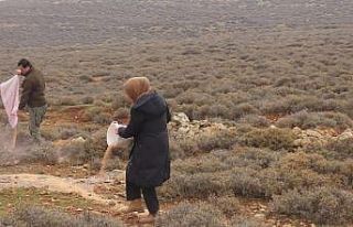 Yaban hayvanları için doğaya yem bıraktılar