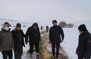 Yaban hayvanlarına destek