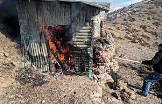 Yaban keçisi avlamak için yapıldığı belirlenen...