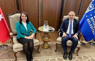 Yapılması düşünülen projeler hakkında fikir...