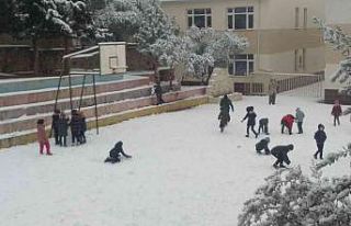 Yaptıkları kardan adama ’Filyasyoncu’ adını...