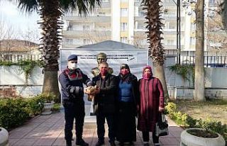 Yaralı bulunan şahin tedavi altına alındı