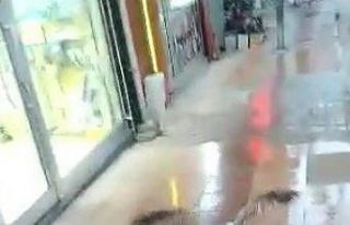 Yaralı martıyı sarıp sarmaladılar