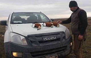 Yasa dışı avlanan 7 kişiye ceza yazıldı