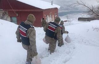 Yaşlı çiftin yardım çağrısına jandarma yetişti