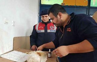 Yavru köpeği jandarma kurtardı