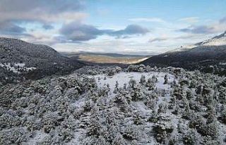 Yeşille beyazın birleşmesi kendine hayran bıraktırdı