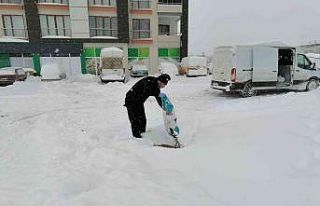 Yeşilyurt’ta sokak hayvanları unutulmadı